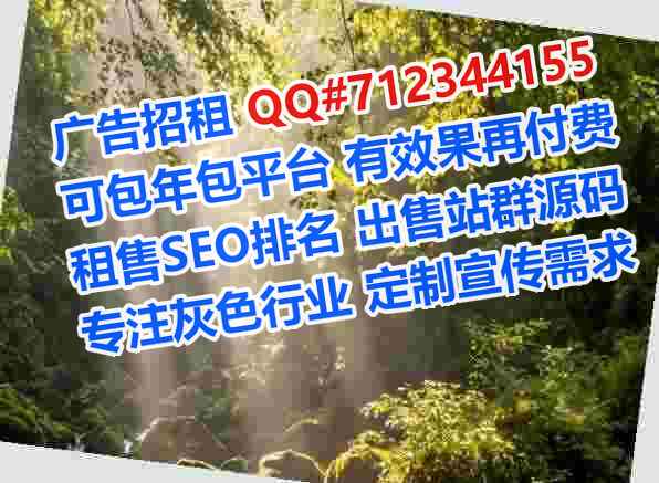 石拐试管集成电路公司